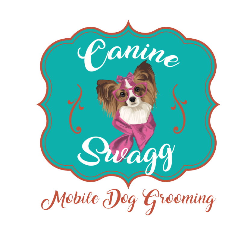 social media marketing best choice for dog grooming pet grooming animal care small business.
